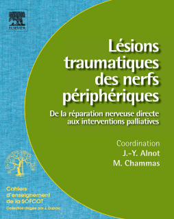 Lésions traumatiques des nerfs périphériques (n° 95) Lésions traumatiques des nerfs périphériques (n° 95)