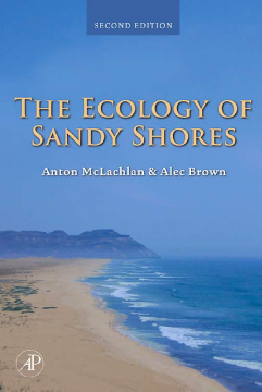 The Ecology of Sandy Shores The Ecology of Sandy Shores