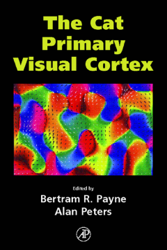 The Cat Primary Visual Cortex The Cat Primary Visual Cortex