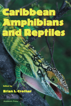 Caribbean Amphibians and Reptiles Caribbean Amphibians and Reptiles