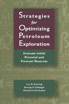 Strategies for Optimizing Petroleum Exploration: