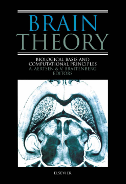 Brain Theory Brain Theory
