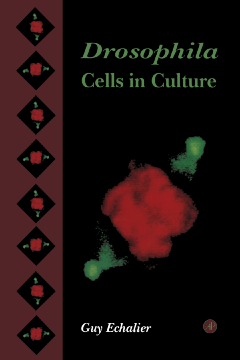 Drosophila Cells in Culture Drosophila Cells in Culture