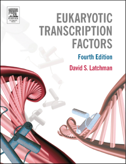 Eukaryotic Transcription Factors Eukaryotic Transcription Factors