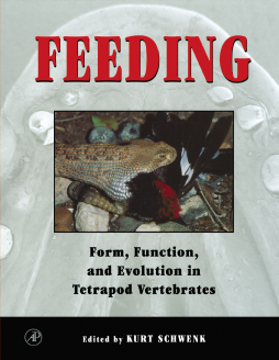 Feeding Feeding
