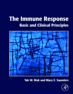 The Immune Response The Immune Response