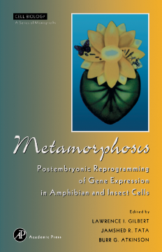 Metamorphosis Metamorphosis