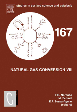Natural Gas Conversion VIII Natural Gas Conversion VIII