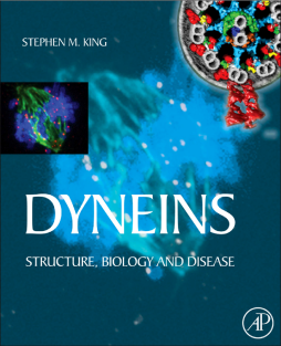Dyneins Dyneins