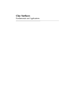 Clay Surfaces Clay Surfaces
