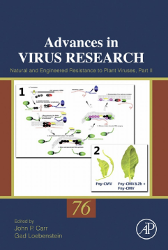 Natural and Engineered Resistance to Plant Viruses