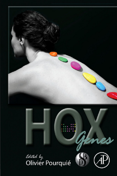 HOX Genes HOX Genes