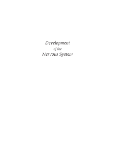 Development of the Nervous System Development of the Nervous System