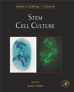 Stem Cell Culture Stem Cell Culture