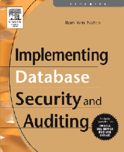 Implementing Database Security and Auditing Implementing Database Security and Auditing
