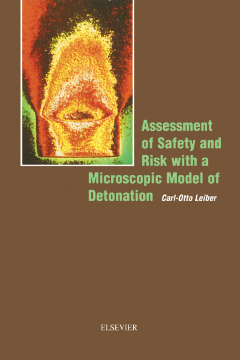 Assessment of Safety and Risk with a Microscopic Model of Detonation Assessment of Safety and Risk with a Microscopic Model of Detonation