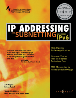 IP Addressing and Subnetting INC IPV6 IP Addressing and Subnetting INC IPV6