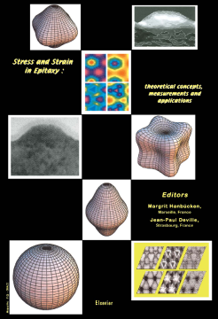 Stress and Strain in Epitaxy: Theoretical Concepts, Measurements and Applications Stress and Strain in Epitaxy: Theoretical Concepts, Measurements and Applications