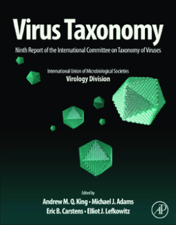 Virus Taxonomy Virus Taxonomy