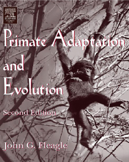 Primate Adaptation and Evolution Primate Adaptation and Evolution
