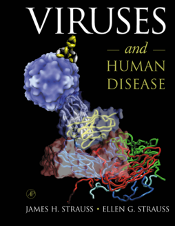 Viruses and Human Disease Viruses and Human Disease
