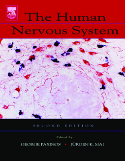 The Human Nervous System The Human Nervous System