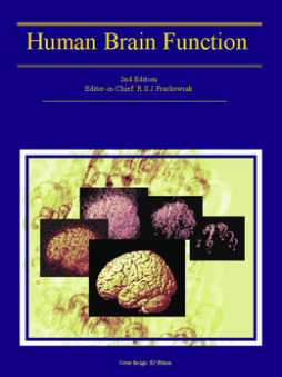 Human Brain Function Human Brain Function