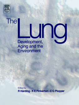 The Lung The Lung