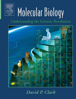 Molecular Biology Molecular Biology