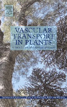 Vascular Transport in Plants Vascular Transport in Plants