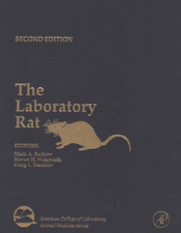 The Laboratory Rat The Laboratory Rat