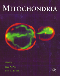 Mitochondria Mitochondria