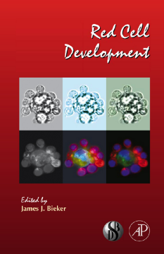 Red Cell Development Red Cell Development