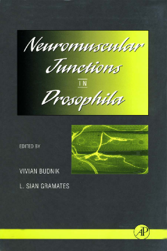 Neuromuscular Junctions in Drosophila