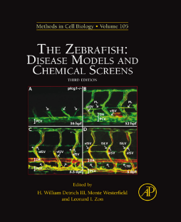 The Zebrafish: Disease Models and Chemical Screens The Zebrafish: Disease Models and Chemical Screens