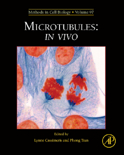 Microtubules: in vivo Microtubules: in vivo