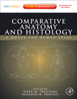 Comparative Anatomy and Histology Comparative Anatomy and Histology