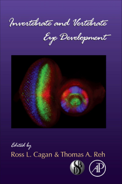 Invertebrate and Vertebrate Eye Development Invertebrate and Vertebrate Eye Development