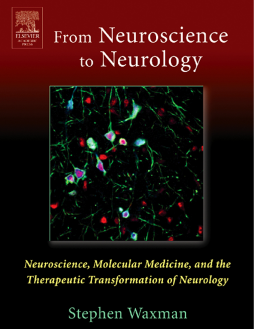 Multiple Sclerosis As A Neuronal Disease Multiple Sclerosis As A Neuronal Disease