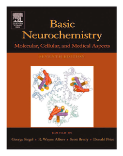 Basic Neurochemistry Basic Neurochemistry
