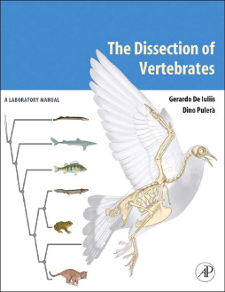 The Dissection of Vertebrates The Dissection of Vertebrates