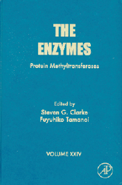 The Enzymes The Enzymes