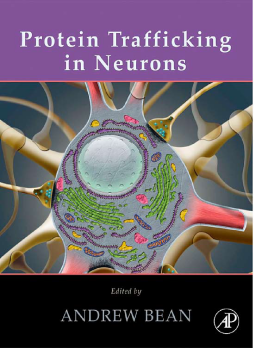 Protein Trafficking in Neurons Protein Trafficking in Neurons