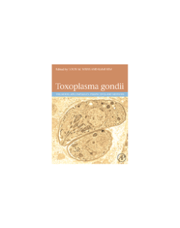 Toxoplasma Gondii Toxoplasma Gondii