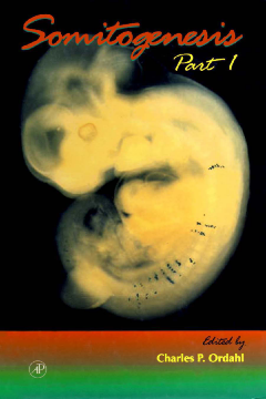 Somitogenesis, Part 1 Somitogenesis, Part 1