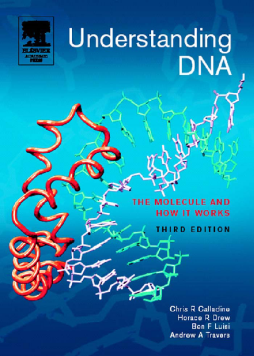 Understanding DNA Understanding DNA