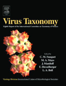 Virus Taxonomy Virus Taxonomy