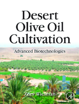 Desert Olive Oil Cultivation