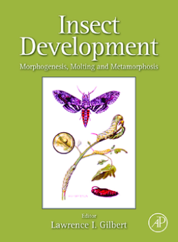 Insect Development Insect Development