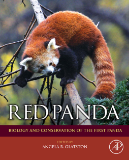 Red Panda Red Panda